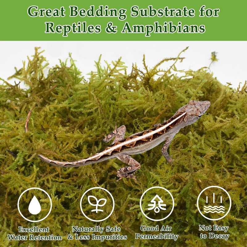 Halatool 9OZ Natural Sphagnum Moss for Reptiles- 14QT Green Moss for Terrarium Plants Long Fiber Reptile Moss for Leopard Gecko Snake Hamsters Tortoises Frogs Lizards Salamanders - Image 3